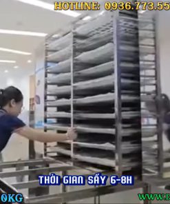 Máy sấy lạnh 150kg sấy khô hoa quả, thực phẩm nhanh chóng