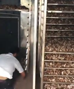 Máy sấy nấm linh chi – Cách lựa chọn phù hợp theo nhu cầu chế biến - chi tiết máy 3