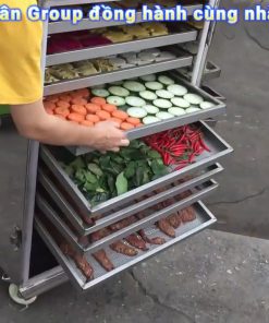 Máy sấy thực phẩm inox đa năng sấy thịt rau củ hoa quả