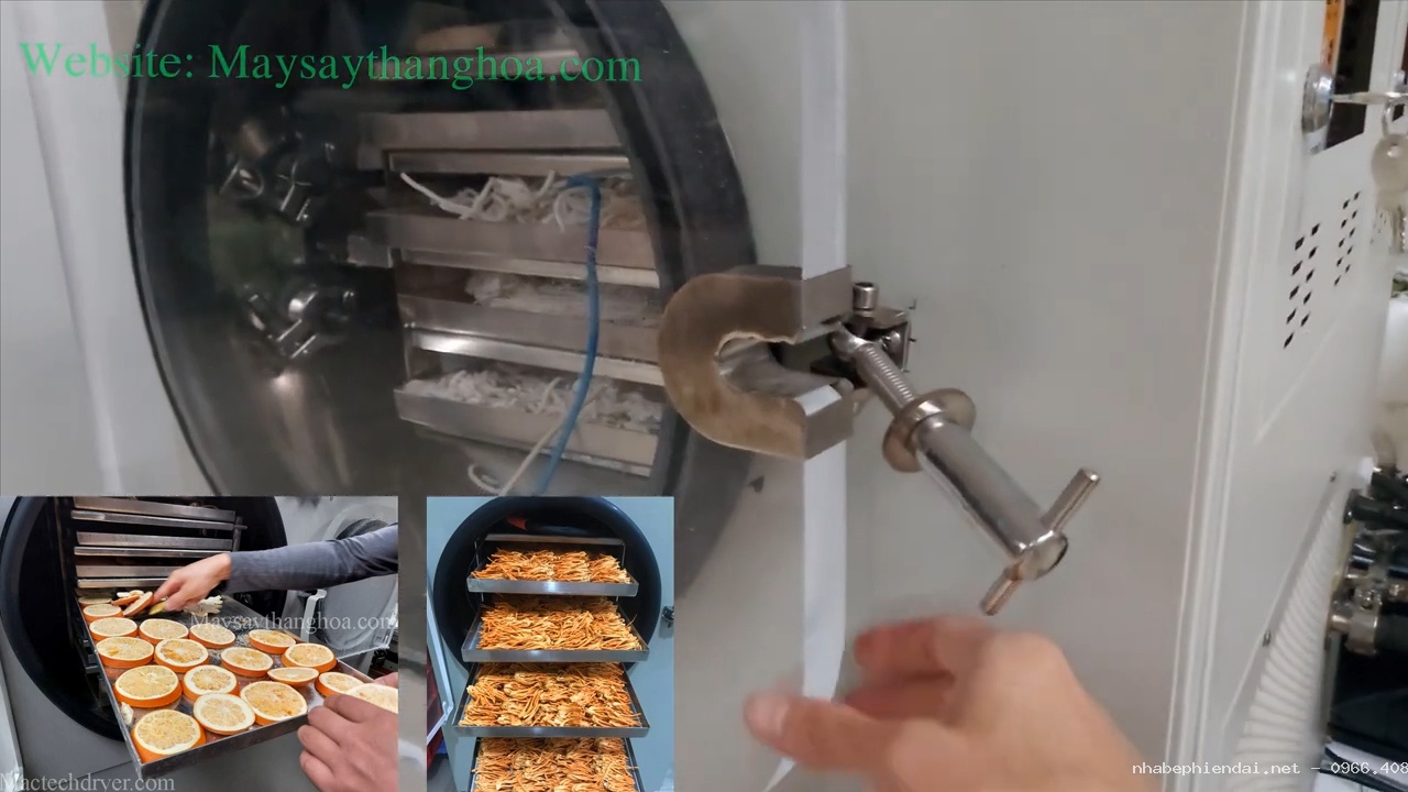 Máy sấy thăng hoa mini 3kg – sấy khô bún bò, thịt bò khô, hoa quả giòn