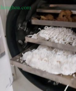 Máy sấy thăng hoa mini 3kg – sấy khô bún bò, thịt bò khô, hoa quả giòn