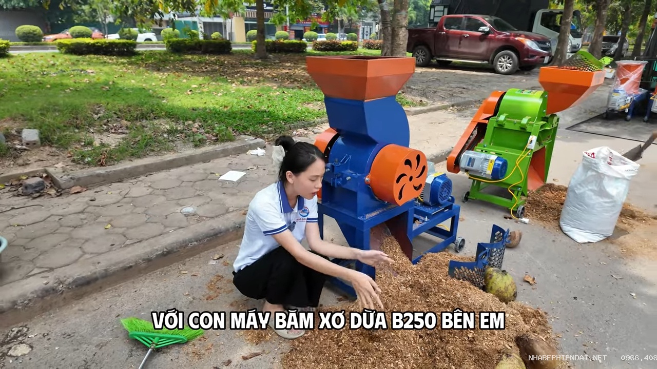 Máy băm xơ dừa B250 – giải pháp xử lý vỏ dừa chất cao như núi sau vườn