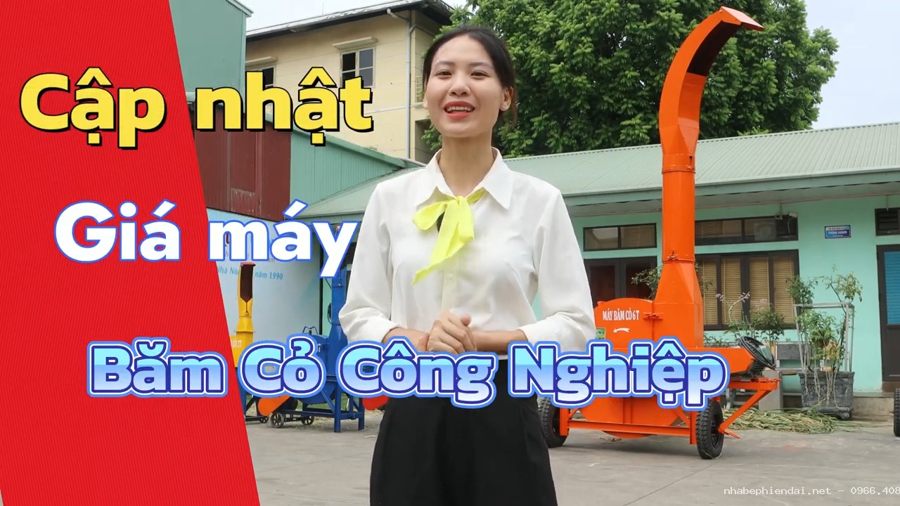 Báo giá máy băm cỏ công nghiệp mới nhất Bình Quân Group cho chăn nuôi