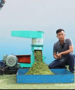 Ép cỏ voi già thành cám cho dê ăn liền