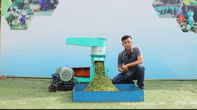 Ép cỏ voi già thành cám cho dê ăn liền