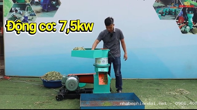 Ép cỏ voi già thành cám cho dê ăn liền