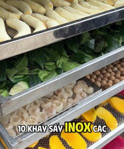 Máy sấy nông sản có đắt không