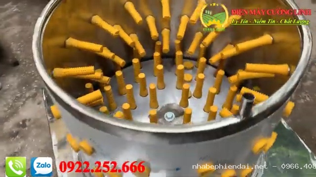 Máy vặt lông gà vịt đường kính 50