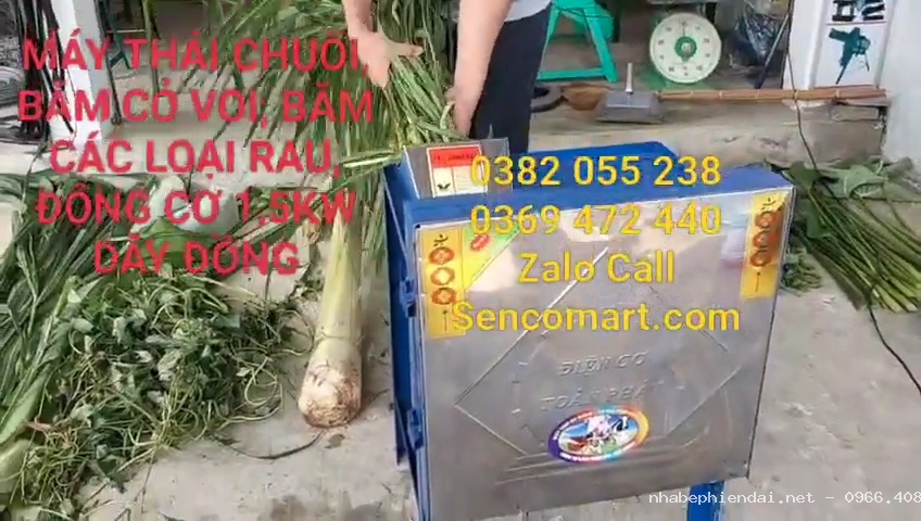 Máy băm cỏ voi Toàn Phát inox motor 1,5kW