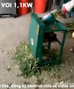 Máy Băm Cỏ Voi Băm Cây Mía Động Cơ 1,1kw (1,5HP) Trong Chăn Nuôi