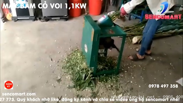 Máy Băm Cỏ Voi Băm Cây Mía Động Cơ 1,1kw (1,5HP) Trong Chăn Nuôi