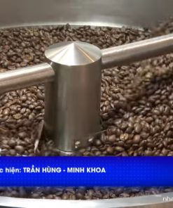 Máy rang cà phê AI điều nhiệt tự động