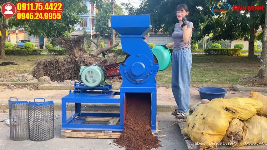 Máy Băm Xơ Dừa – Cơ Hội Kinh Doanh Mùn Dừa Cuối Năm Hiệu Quả