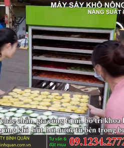 Máy sấy khô nông sản thực phẩm 10 ngăn