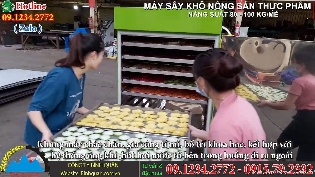 Máy sấy khô nông sản thực phẩm 10 ngăn