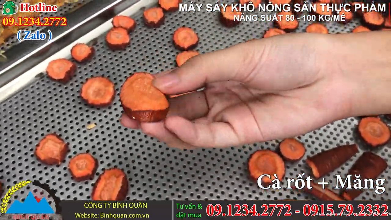 Máy sấy khô nông sản thực phẩm 10 ngăn