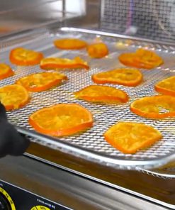 Máy sấy hoa quả 32 khay - chi tiết máy 2