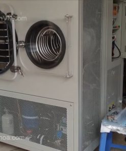 Máy sấy thăng hoa 10kg MST100
