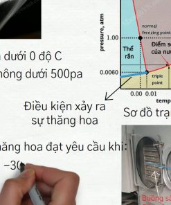 Máy Sấy Thăng Hoa - chi tiết máy 2