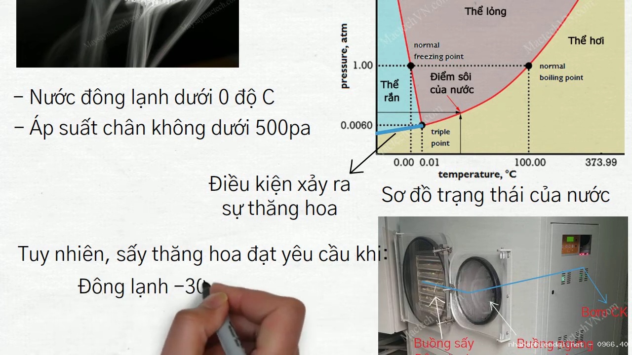 Máy Sấy Thăng Hoa – Đặc Điểm, Nguyên Lý Và Quy Trình Sấy