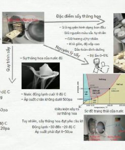 Máy Sấy Thăng Hoa – Đặc Điểm, Nguyên Lý Và Quy Trình Sấy