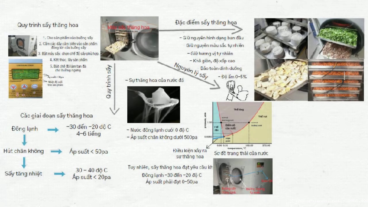 Máy Sấy Thăng Hoa – Đặc Điểm, Nguyên Lý Và Quy Trình Sấy