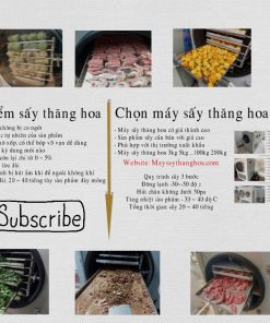 Ưu điểm của máy sấy thăng hoa, sản phẩm sấy thăng hoa khác biệt như thế nào
