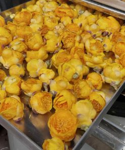 Ưu điểm của máy sấy thăng hoa - chi tiết máy 2