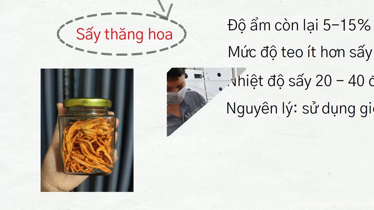Sấy Thử Nấm Bằng Máy Sấy Thăng Hoa Trước Khi Đầu Tư