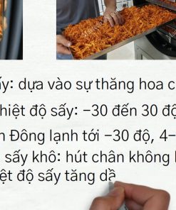 Sấy Thử Nấm Bằng Máy Sấy Thăng Hoa - chi tiết máy 2