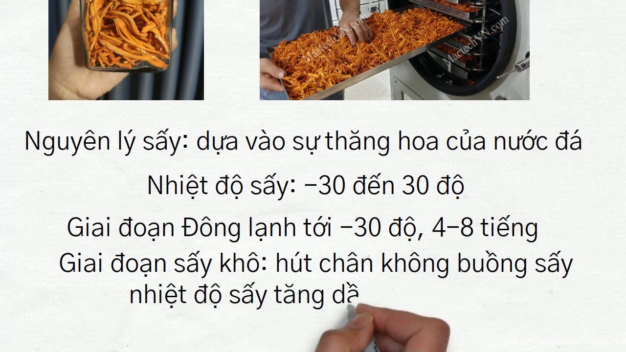 Sấy Thử Nấm Bằng Máy Sấy Thăng Hoa Trước Khi Đầu Tư