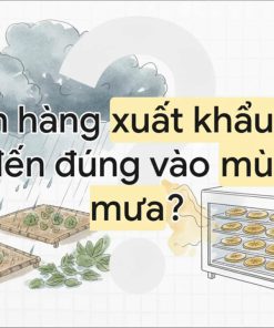 Máy Sấy Nhang Công Nghiệp Heat Pump Daxwell