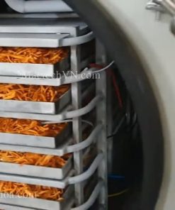 Hướng dẫn sấy nấm đông trùng hạ thảo trên máy sấy thăng hoa đạt hiệu quả cao