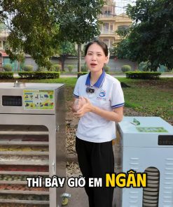 Máy sấy khô nông sản 10 khay - chi tiết máy 3