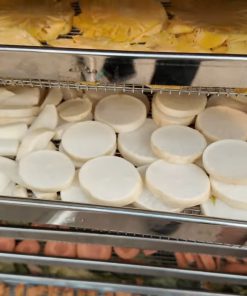 Máy sấy khô nông sản 10 khay - chi tiết máy 2