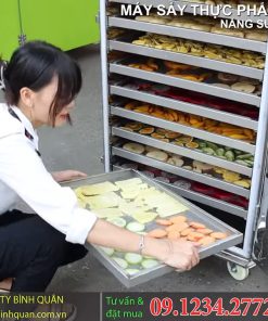 Máy sấy thực phẩm sấy cá khô 10 khay