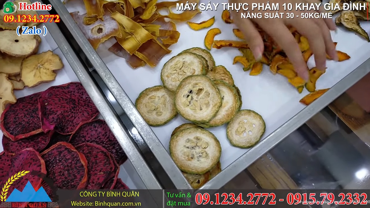 Máy sấy thực phẩm sấy cá khô 10 khay