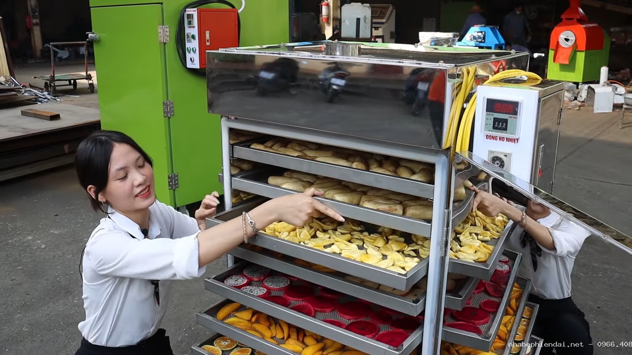 Máy sấy thực phẩm sấy cá khô 10 khay
