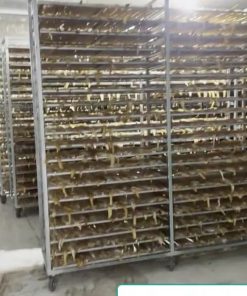 Máy Sấy Dược Liệu Và Nhu Cầu Làm Khô Dược Liệu - chi tiết máy 3