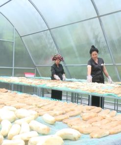 Nhà Sấy Chuối Bằng Năng Lượng Mặt Trời - chi tiết máy 2