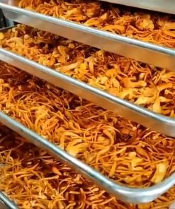 Sấy Nấm Đông Trùng Hạ Thảo Bằng Máy Sấy Thăng Hoa - chi tiết máy 2