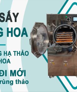 Sấy Nấm Đông Trùng Hạ Thảo Bằng Máy Sấy Thăng Hoa
