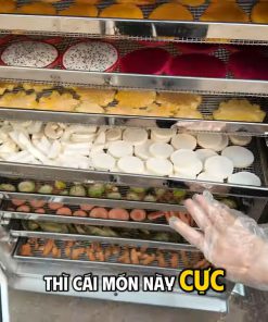 Máy Sấy Thực Phẩm 100Kg Bình Quân