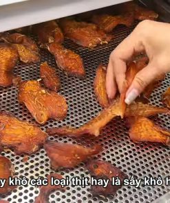 Máy Sấy Đa Năng 4M-TP - chi tiết máy 3