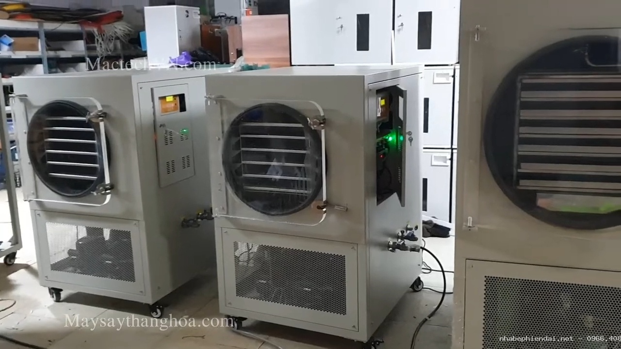 Máy sấy thăng hoa 5kg và 10kg – So sánh dòng dân dụng và công nghiệp