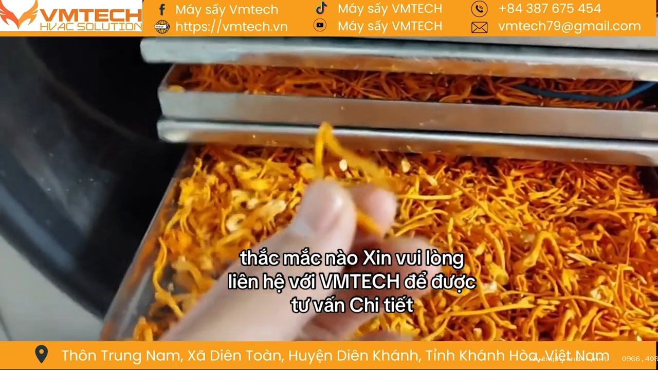 Máy Sấy Thực Phẩm Và Hệ Thống Bảo Quản Lạnh – Đông