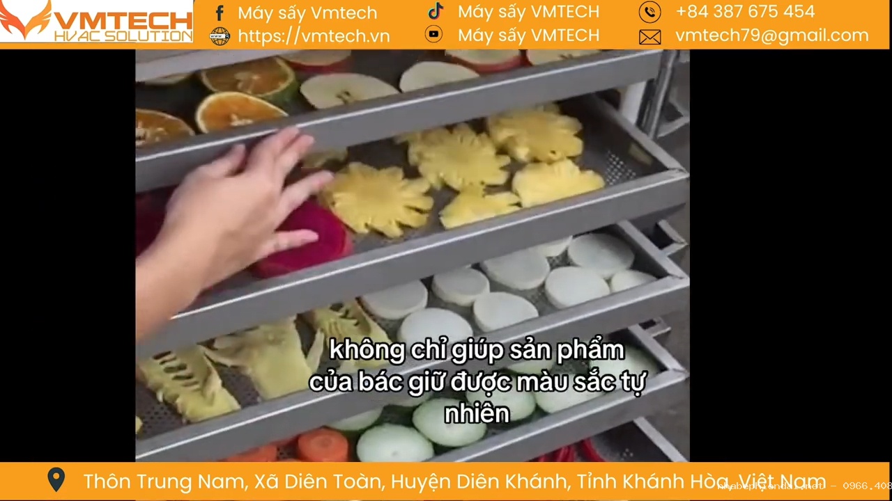 Máy Sấy Thực Phẩm Và Hệ Thống Bảo Quản Lạnh – Đông