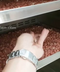 Máy Sấy Hạt Ngũ Cốc Sấy Khô Chín Giòn