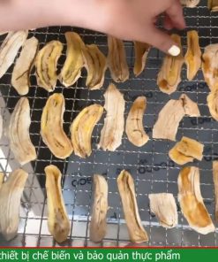 Chuối sấy dẻo bằng máy sấy lạnh SUNSAY - chi tiết máy 2