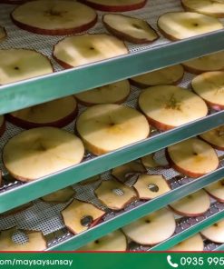 Máy sấy nhiệt đối lưu 80 khay - chi tiết máy 2